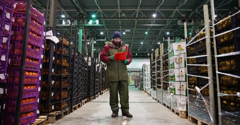Агроном на склад  Товаровед-эксперт плодоовощной продукции