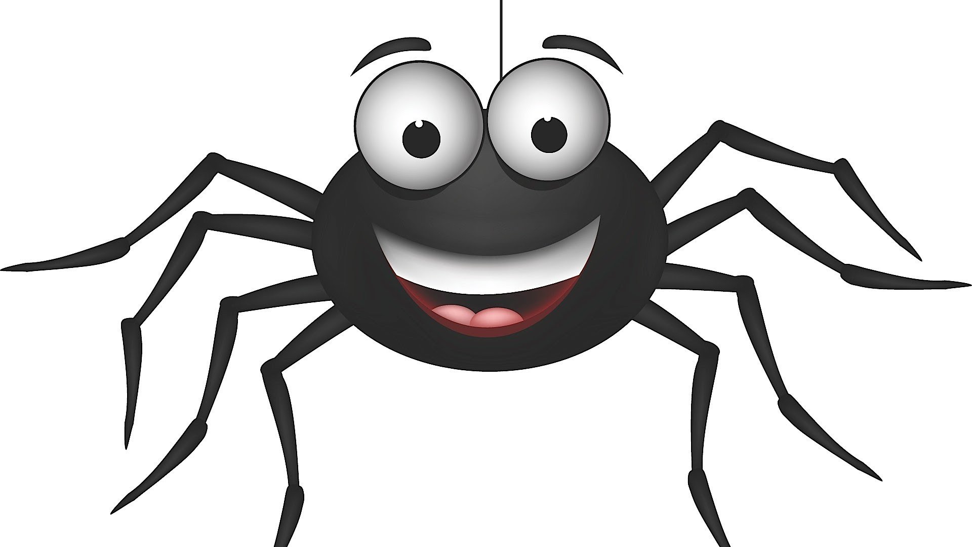 УслугиСервисыСопровождение внедрения и поддержки Spider Project