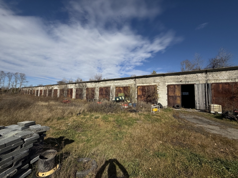 ������� ���������������� ����